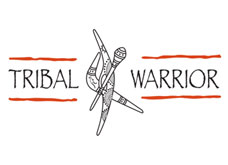 Tribal-Warrior